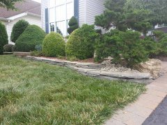 20140630_091226.jpg