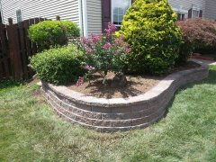20140717_130040.jpg